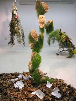 02appoloinstallation