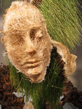 05appoloinstallationweb