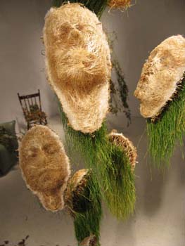 06appoloinstallationweb