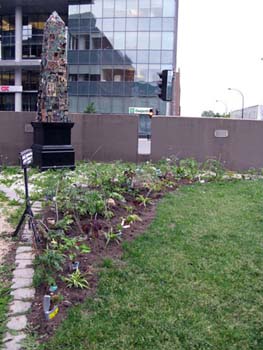 05 jardin biologique#2CC41A