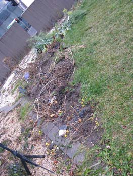 10 jardin biologique#2CC421