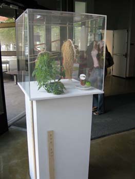 11 show case june 2009