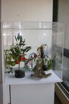 12 show case july 2009