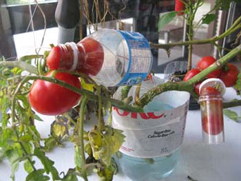 13 show case july 2009