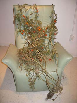 16 show case december 2009