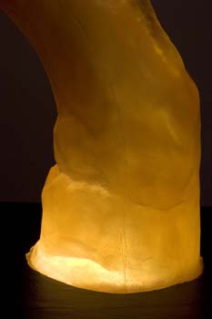 03 Oh! Cocktail Shri#1FEA37