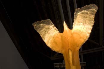 04  Oh! Cocktail Shr#1FEA36