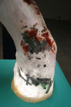 06 infected shrimp detail