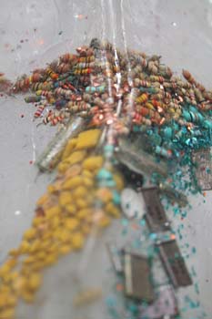 07 infected shrimp detail