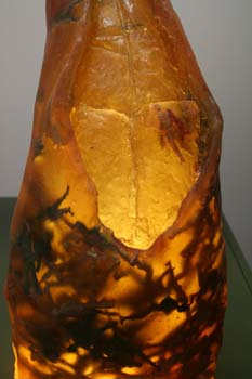 09 invaded shrimp detail