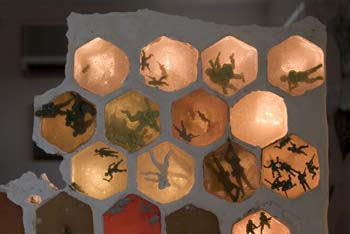 18 colony collapse detail